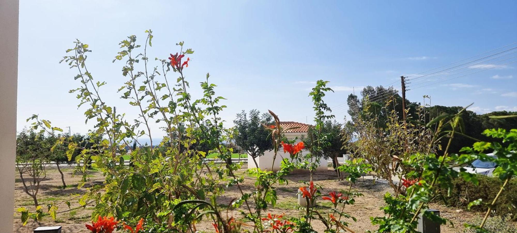Shanti Paphos Villa Exterior photo